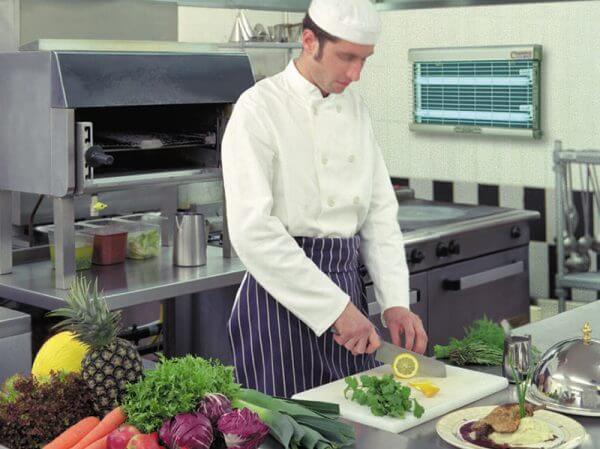 Kontrola letećih insekata u ugostiteljskim objektima