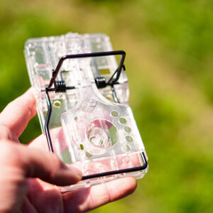 Gorilla providna pacolovka